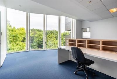 Spatiu de birou -  Piata Charles de Gaulle -  300 mp Spatiu de birou -  Piata Charles de Gaulle -  300 mp - 5