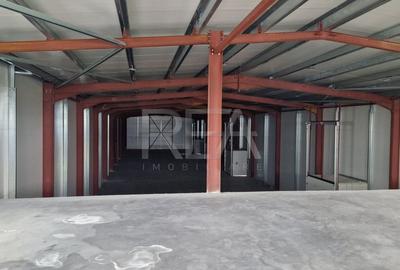 Hala 970 m.p. + 200m.p. Birouri | Temperatura controlata | Pallady/Oxigenului - 4