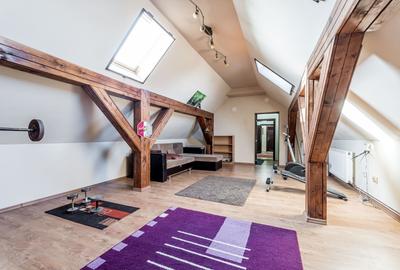 Vilă cu 4 apartamente aproape de centrul Timișoarei - 3