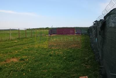 Teren cu constructie de vanzare in Urleta - 3