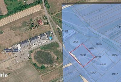 Teren de 3000 mp, în Hereclean - 4
