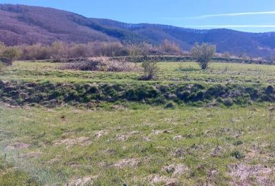 Teren agricol extravilan de 1500 mp, în Poplaca - 4