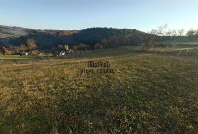 Teren de 3415 mp, în Luncoiu de Sus - 3