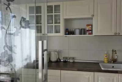 Studio Iancu Nicolae, Ambasada Americii, Gradina Zoologica | Elegant - 10