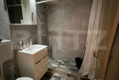 Apartament cu 2 camere semidecomandat în Central - 4