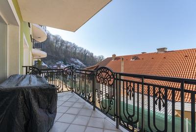 Intimitate in mijlocul naturii, bonus: apartament cochet - 14