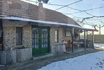 Casă cu 4 camere cu Teren 3404 Mp în Central - 13