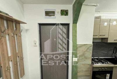 Apartament cu 2 camere decomandat, mobilat în Freidorf - 1