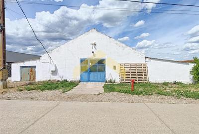 Spațiu industrial, de 750 mp, în Șofronea