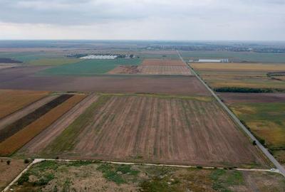 Teren extravilan 5 hectare ( zona industriala ) ?ag - 10
