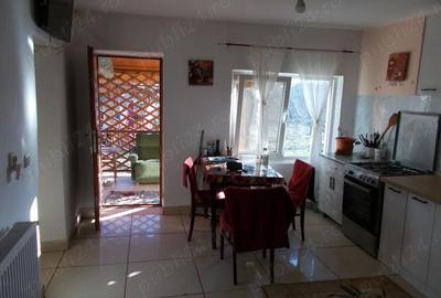 Casă cu 4 camere cu Teren 1350 Mp în Beregsău Mic - 13