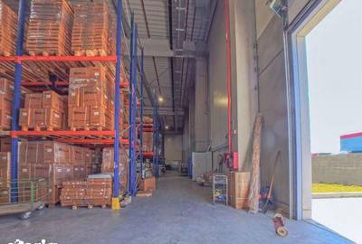 Spațiu comercial, de 2,463 mp, în Sărata - 8