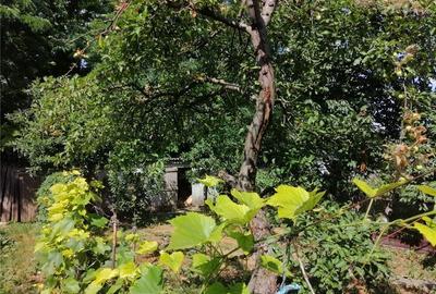 Casă cu 3 camere în Trușești - 9