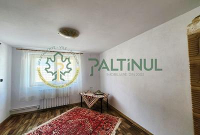 Casă Nucet, 864 mp teren cu pomi fructiferi – la 21 km de Sibiu - 7