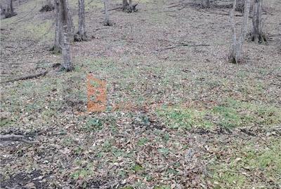 Teren de 1000 mp, în Merei - 8