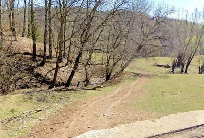 Teren intravilan de 589 mp, în Nord-Vest - 3