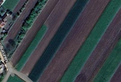 Teren de 5000 mp, în Arcalia - 2