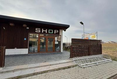Spatiu Comercial de vanzare pe strada Crangului 101 Vanatori - 7