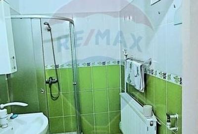 Casa mosnei strada Avram Iancu 2 camere bucatarie baie - 7