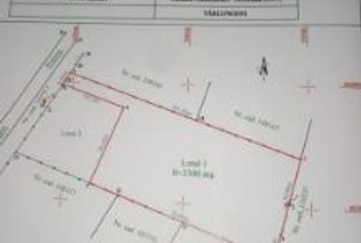 Teren Construcții intravilan de 4400 mp, în Cărpiniș - 4