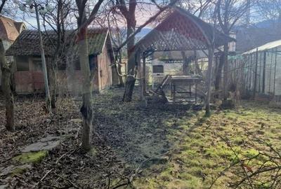 Casă cu 5 camere cu Teren 809 Mp în Central - 6