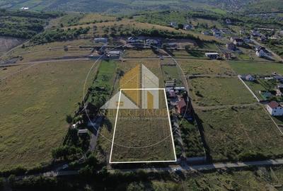 Teren de Vanzare in Bistrita: O Investitie in Viitorul Tau.