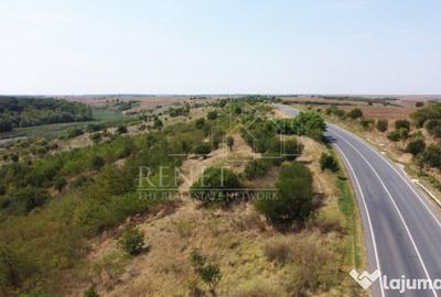 Teren de 2500 mp, în Naipu - 6