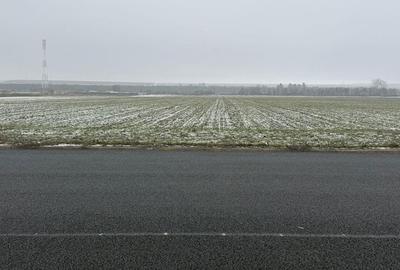 Teren de 30000 mp, în Săucești - 7