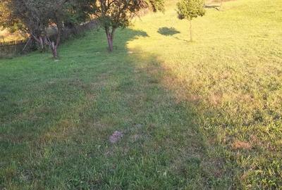 Vanzare casa de vacanta + teren in Moieciu de Jos(jud.Brasov) - 7