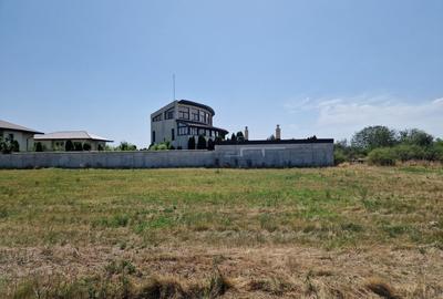 Domnesti - Ciutaci, vanzare 4 loturi de teren intravilan Domnesti - Ciutaci, vanzare 4 loturi de teren intravilan - 19
