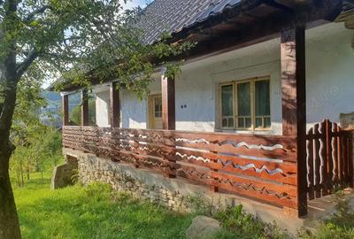 Casa 64 mp util, 2 camere + hol mare refacut, 4.100 mp intravilan - 2