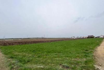 Teren intravilan, 1792 mp, Radauti - 3