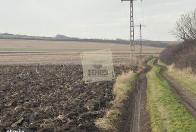 Spațiu comercial, în Central - 4