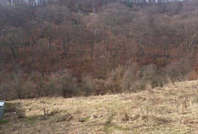 Teren intravilan zona humarie sarata Teren intravilan zona humarie sarata - 4