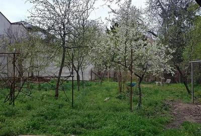 Apartament 1 camera Balcescu