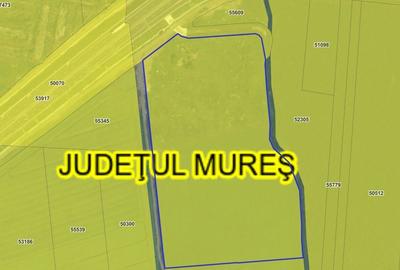 Ungheni - Investitie teren Spatiu Industrial - acces Autostrada Transilvaniei - 3