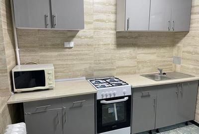 Apartament incapator si luminos, trei camere, Piata Muncii - 4