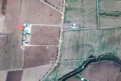 Teren Construcții intravilan de 23000 mp, în Tâncăbești - 5