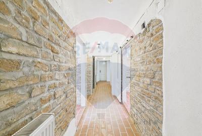 Spatiu comercial-Demisol-Atelier de arta - 13