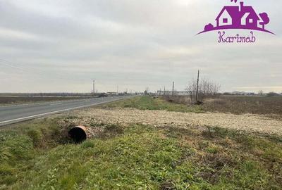 Teren industrial la soseaua nationala Nojorid les - 2