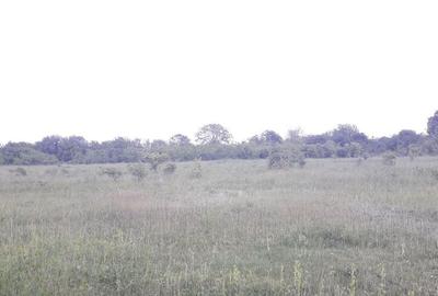 Teren de 2557 mp, în Iazu - 7