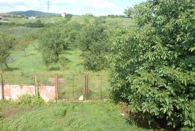 Casă cu 8 camere cu Teren 6000 Mp în Central
