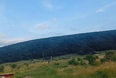 Teren de 58 mp, în Gilău - 2