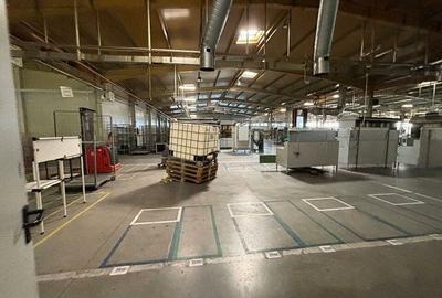 Hala 5000 mp dotata pentru productie si depozitare ISU categoria D - 2