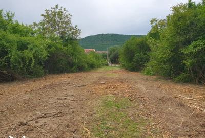 Teren de 1800 mp, în Turnu Roșu - 4