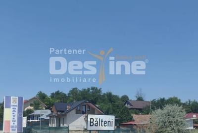 Teren agricol extravilan de 10400 mp, în Bălteni - 3