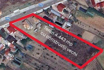 Casă cu 5 camere cu Teren 4443 Mp în Nicolae Bălcescu - 15