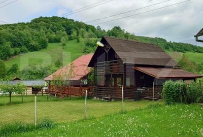 Casa de vacanta in Valea Inzelului - TRANSAPUSEANA, 459 mp totali. - 13