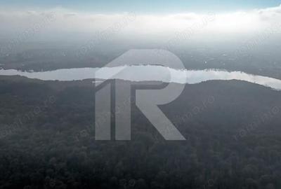 Teren de 16900 mp, în Grădiștea