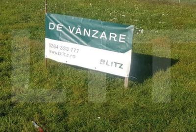 Teren de 800 mp, în Ciurila - 4